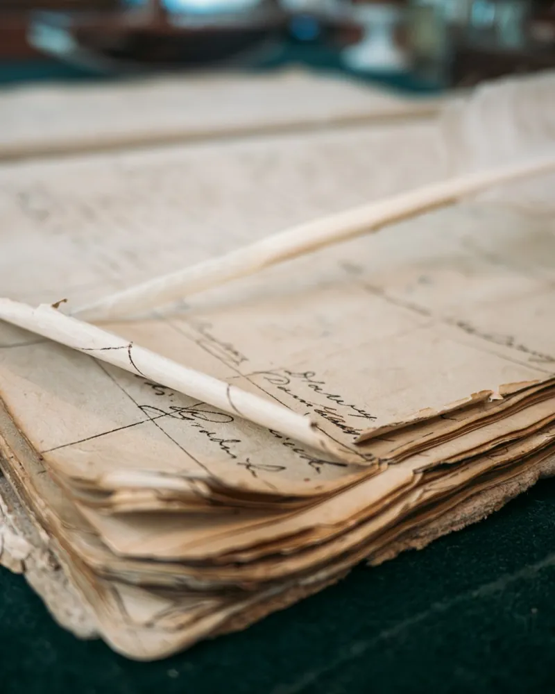 Pormenor de um maço de folhas antigas manuscritas, amarelecidas e com bordos desfeitos, sobre um pano verde escuro